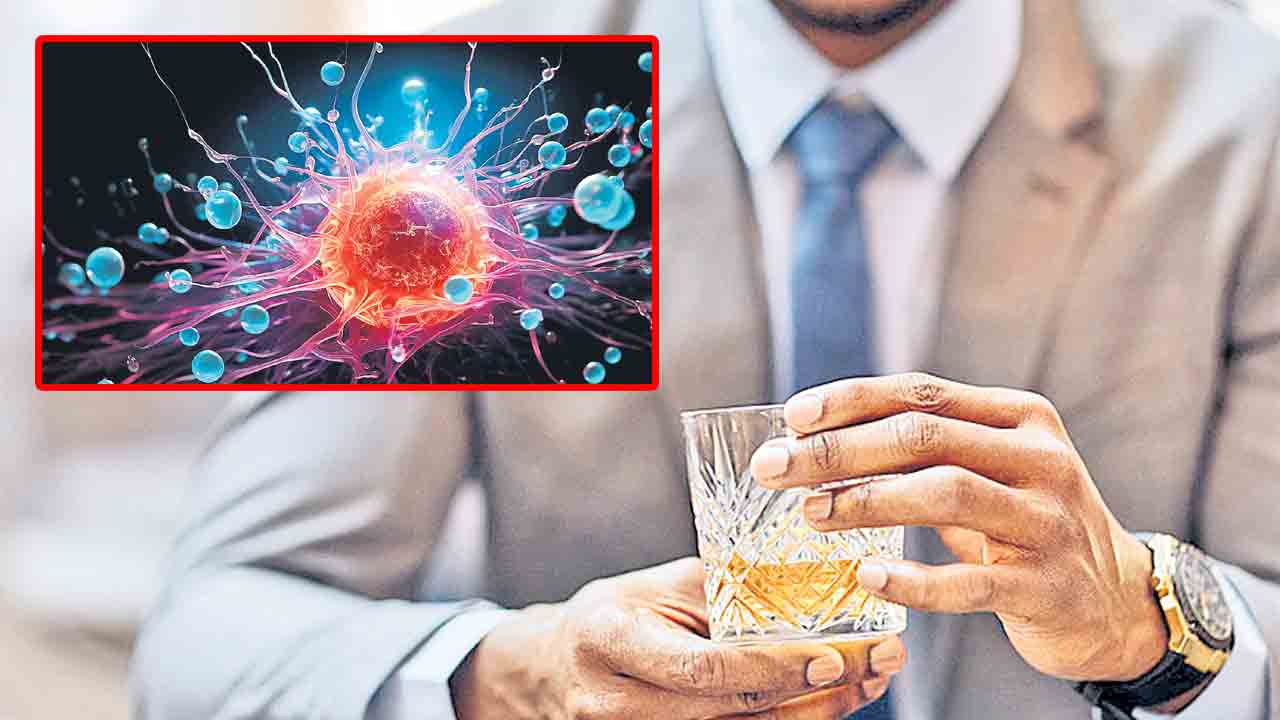 Cancer | మద్యపానంతో క్యాన్సర్‌ ముప్పు.. ఎంత తాగినా ఆరోగ్యానికి నష్టం తప్పదు