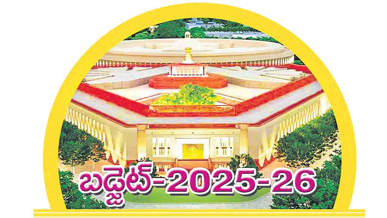 Budget 2025 | క్రిప్టో లావాదేవీలపై టీడీఎస్‌ తగ్గాలి.. సరళతర పన్ను నిర్మాణాలను తేవాలి.. డిజిటల్‌ ఇండస్ట్రీ డిమాండ్‌