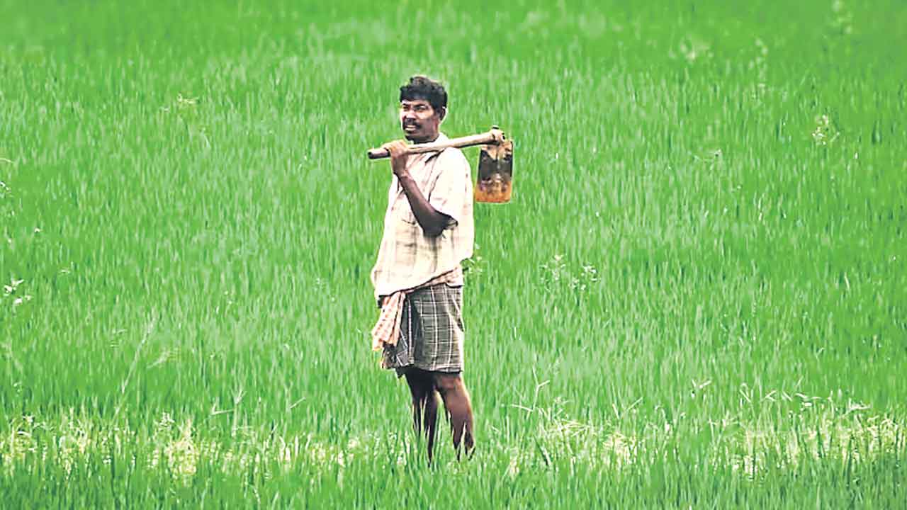 Rythu Bharosa | దరఖాస్తు చేస్తేనే భరోసా.. పంట వేసిన రైతుకే పెట్టుబడి సాయం!