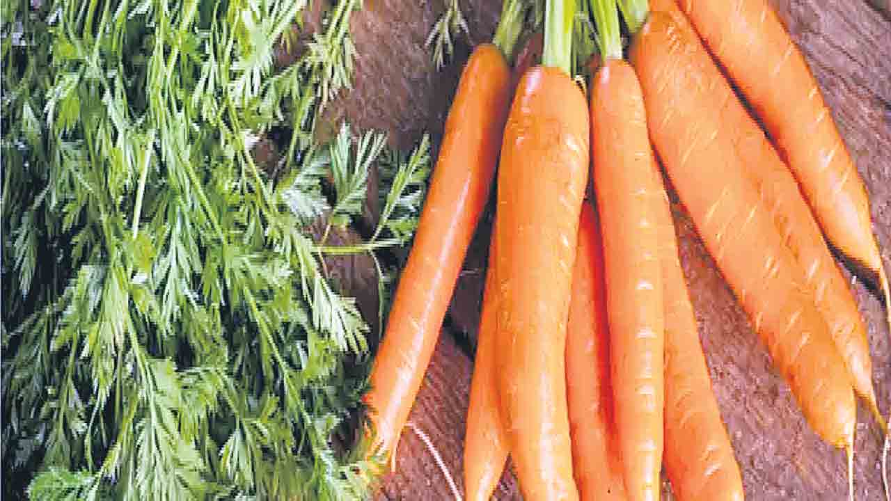 Diabetes | క్యారట్లతో మధుమేహులకు మేలు..