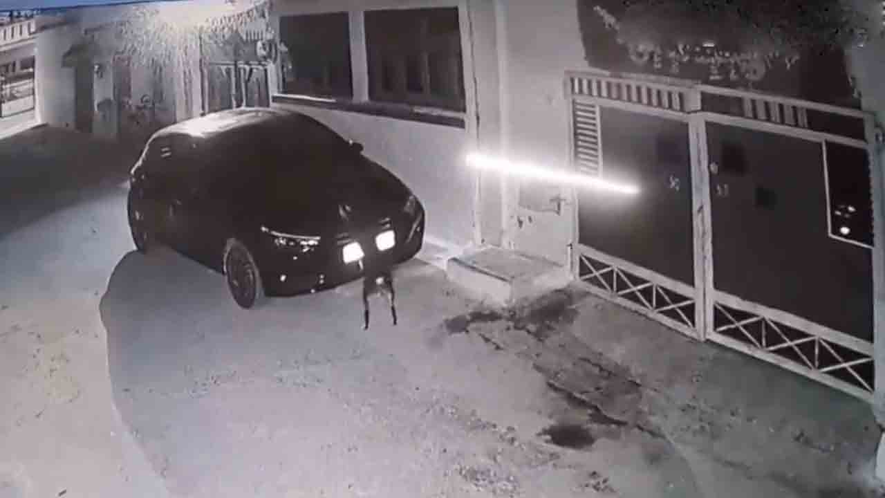 Dog revenge | ఢీకొట్టిన కారు యజమానిపై ప్రతీకారం తీర్చుకున్న కుక్క.. Video viral