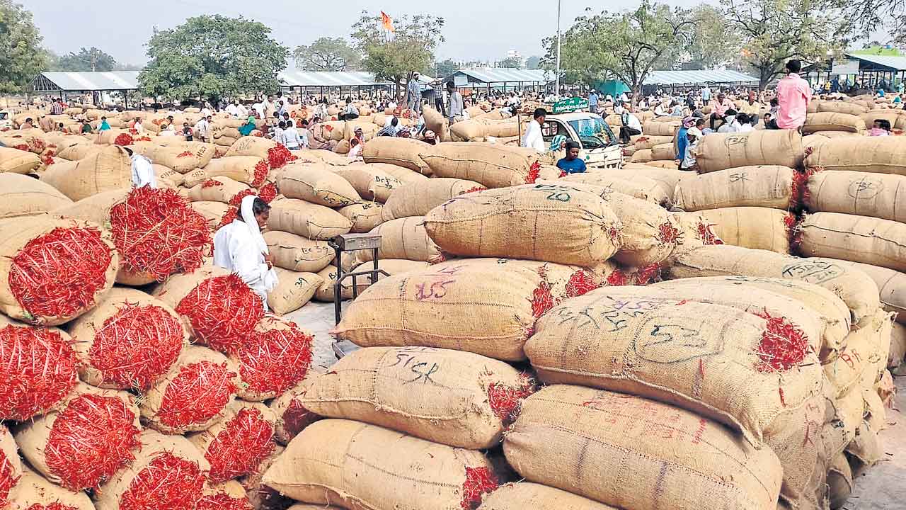 మిర్చి రేటు పతనం
