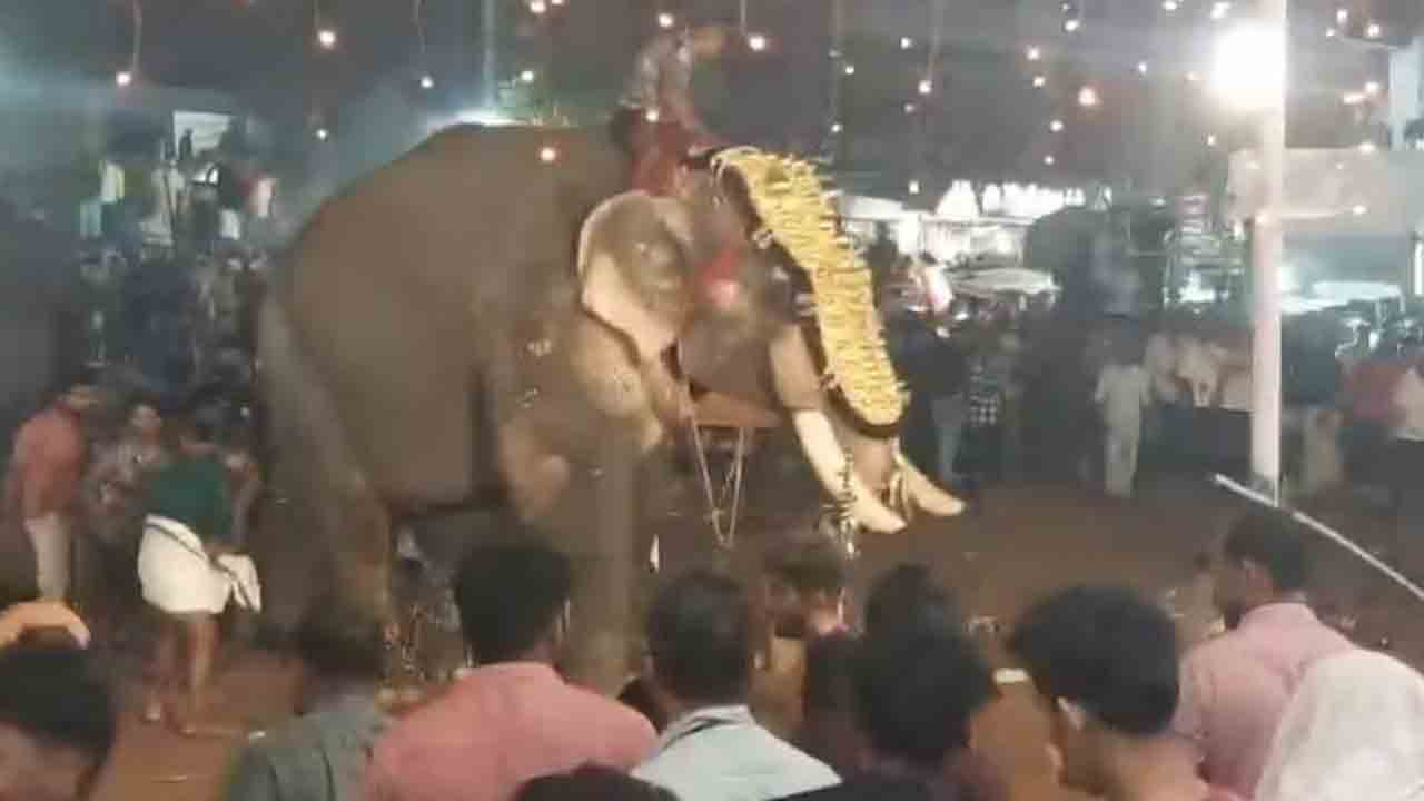 Elephant | జాతరలో ఏనుగు బీభత్సం.. 17 మందికి గాయాలు.. VIDEO