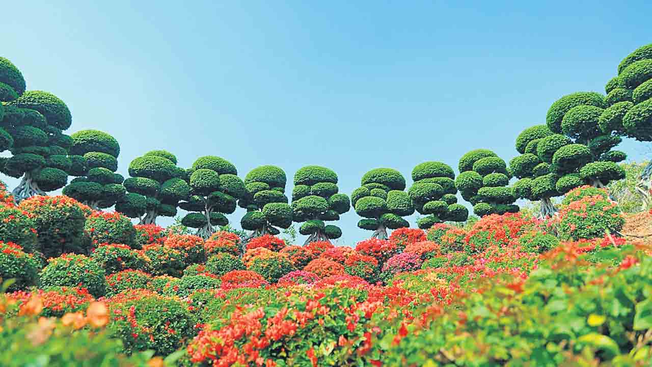 Experium Eco Park | 25 వేల జాతుల మొక్కలు, చెట్లు.. భూతల స్వర్గంలా ఎక్స్‌పీరియం పార్కు