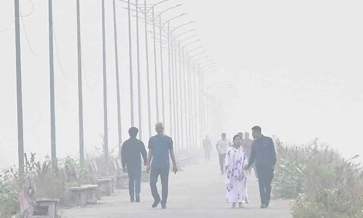 కమ్మేసిన పొగమంచు