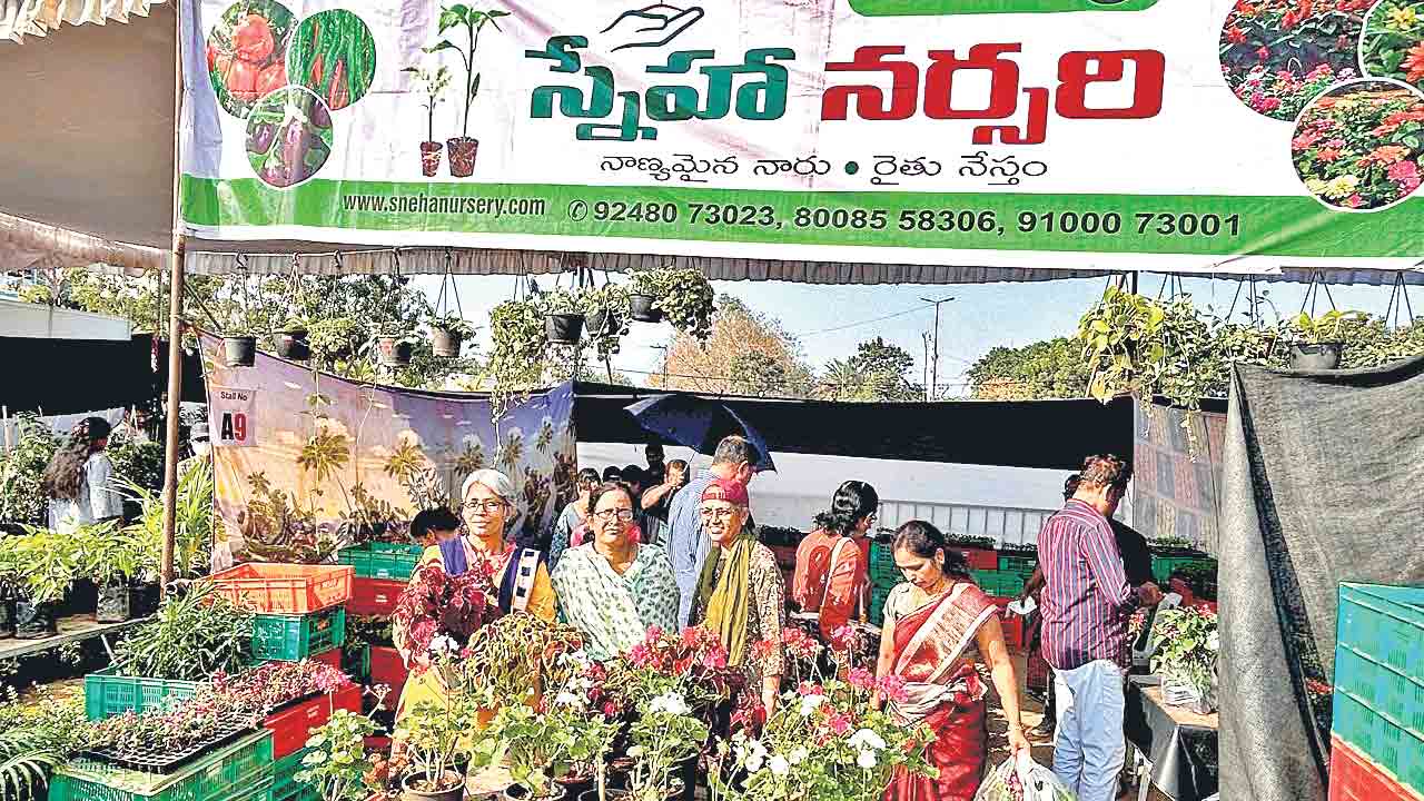 సందడిగా నర్సరీ మేళా