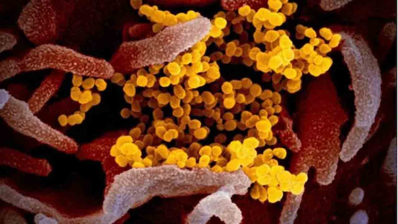 HMPV Case | మరో చిన్నారికి HMPV పాజిటివ్‌.. భారత్‌లో 18కి చేరిన కేసులు