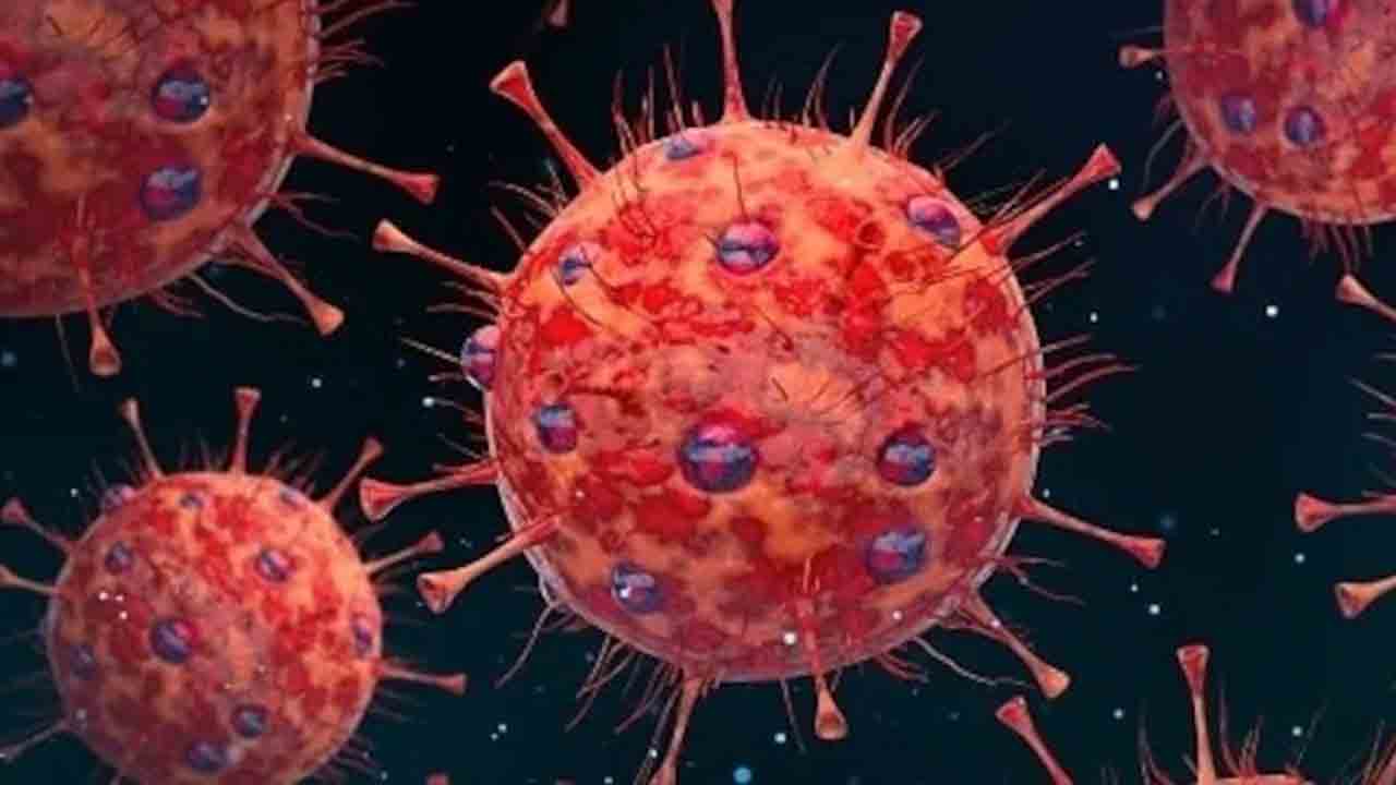 HMPV | మరో ఇద్దరు చిన్నారులకు పాజిటివ్‌.. భారత్‌లో క్రమంగా పెరుగుతున్న హెచ్‌ఎమ్‌పీవీ కేసులు