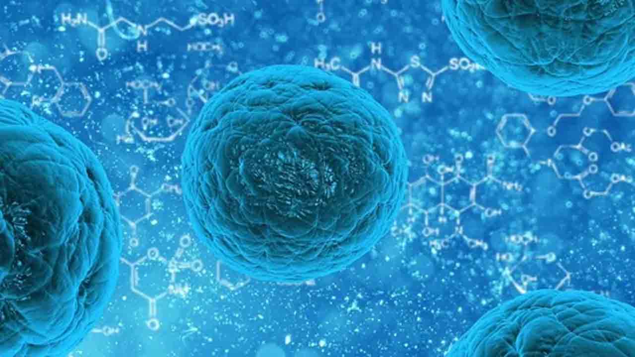 HMPV | కర్ణాటకలో HMPV కేసులు.. అప్రమత్తమైన ఢిల్లీ ప్రభుత్వం