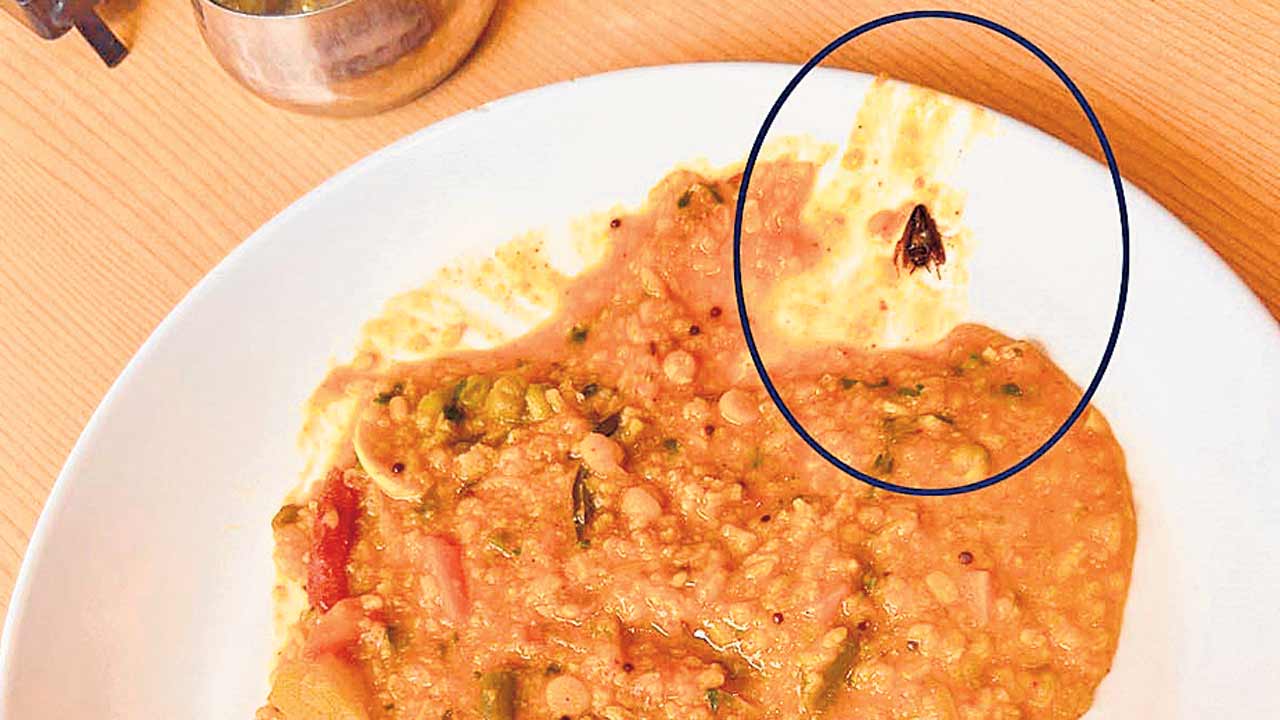 Minerva Hotel | సాంబార్‌ రైస్‌లో పురుగులు.. మినర్వా హోటల్‌ సీజ్‌