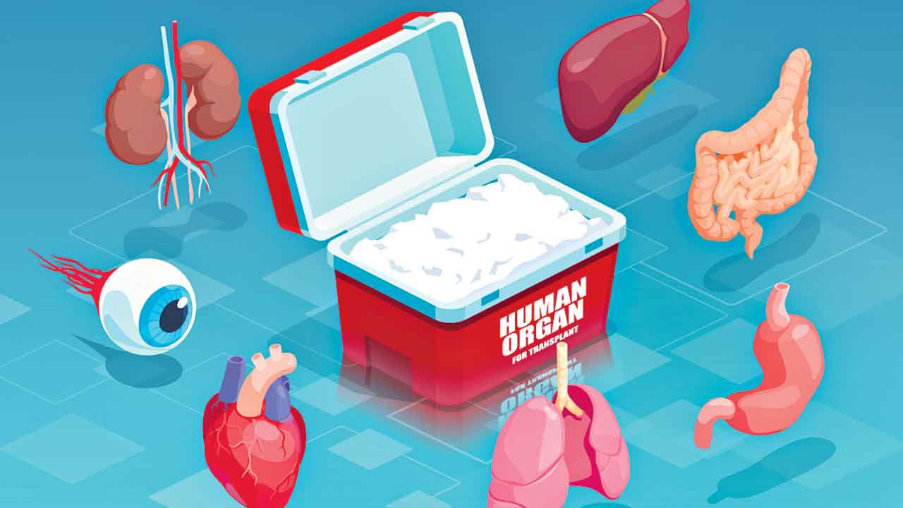Jeevandaan | అంగట్లో అవయవాలు.. జీవన్‌దాన్‌ అనుమతి లేకుండానే యధేచ్ఛగా కిడ్నీ మార్పిడిలు