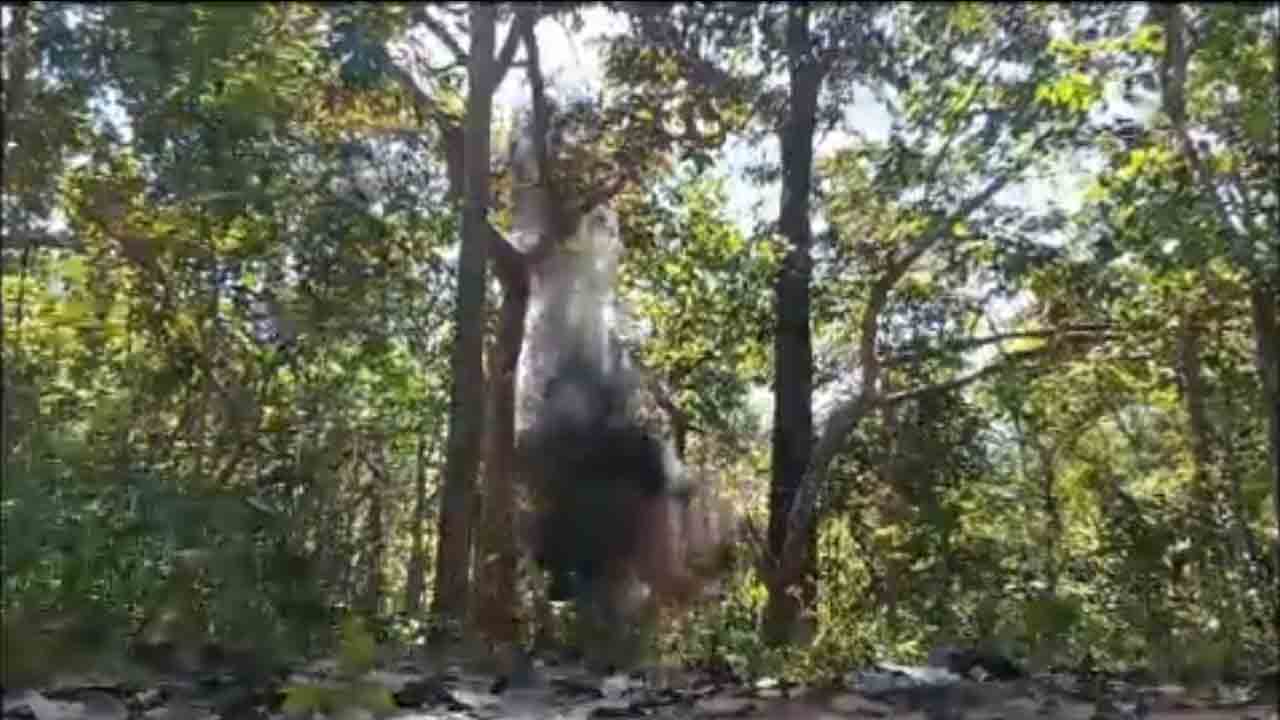 IEDs neutralise | ఛత్తీస్‌గఢ్‌లో ఎనిమిది మందుపాతరలు నిర్వీర్యం.. Video