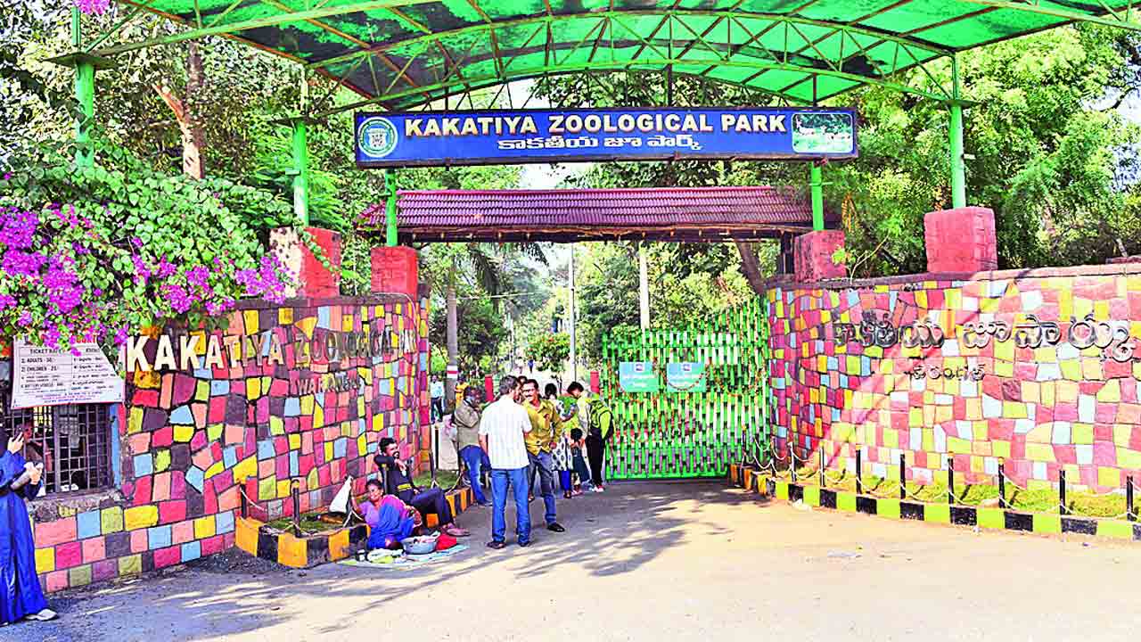 అదిగో పెద్ద పులులు