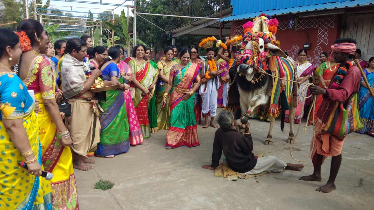 Sankranti | సకల కాంతులు.. సరికొత్త వెలుగుల లోగిలి.. పల్లెల్లో పొంగల్‌ సందడి