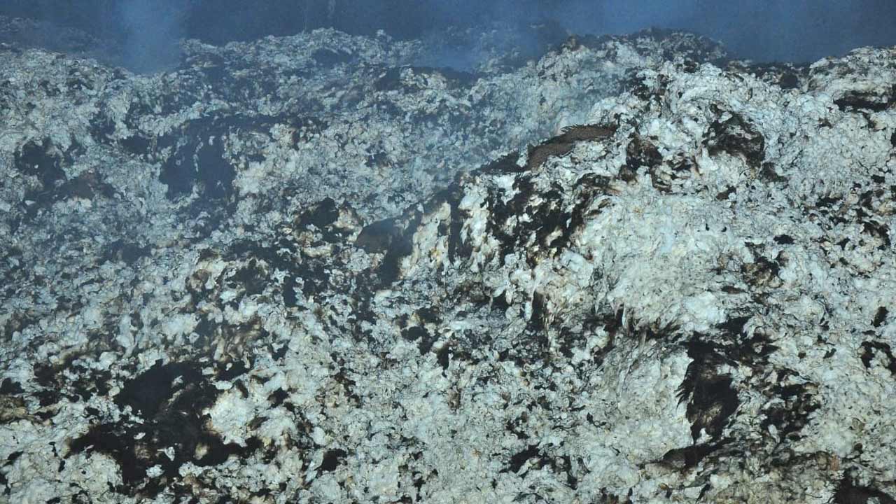 ఈసారైనా నిగ్గుతేలేనా