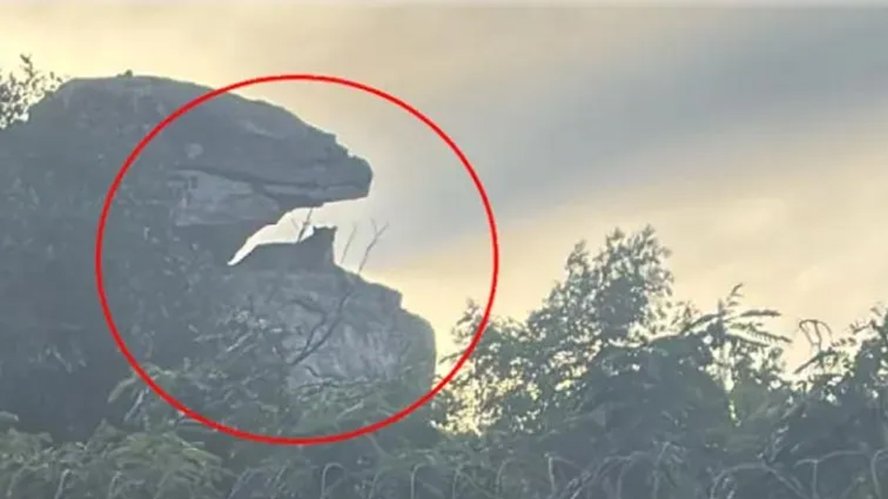 Tirumala | తిరుమలలో మళ్లీ చిరుత సంచారం.. ఆందోళనలో భక్తులు..!