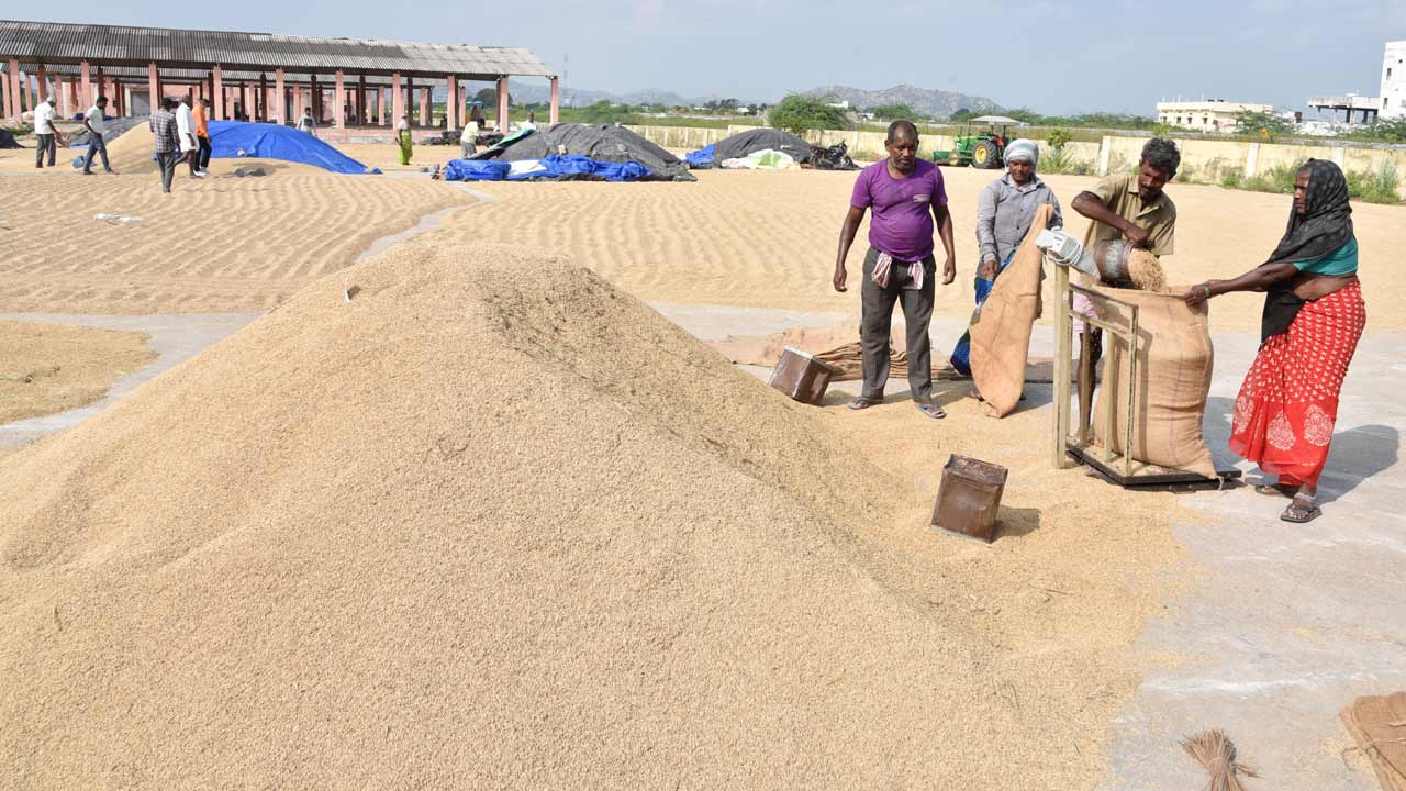 ధాన్యం.. దైన్నం