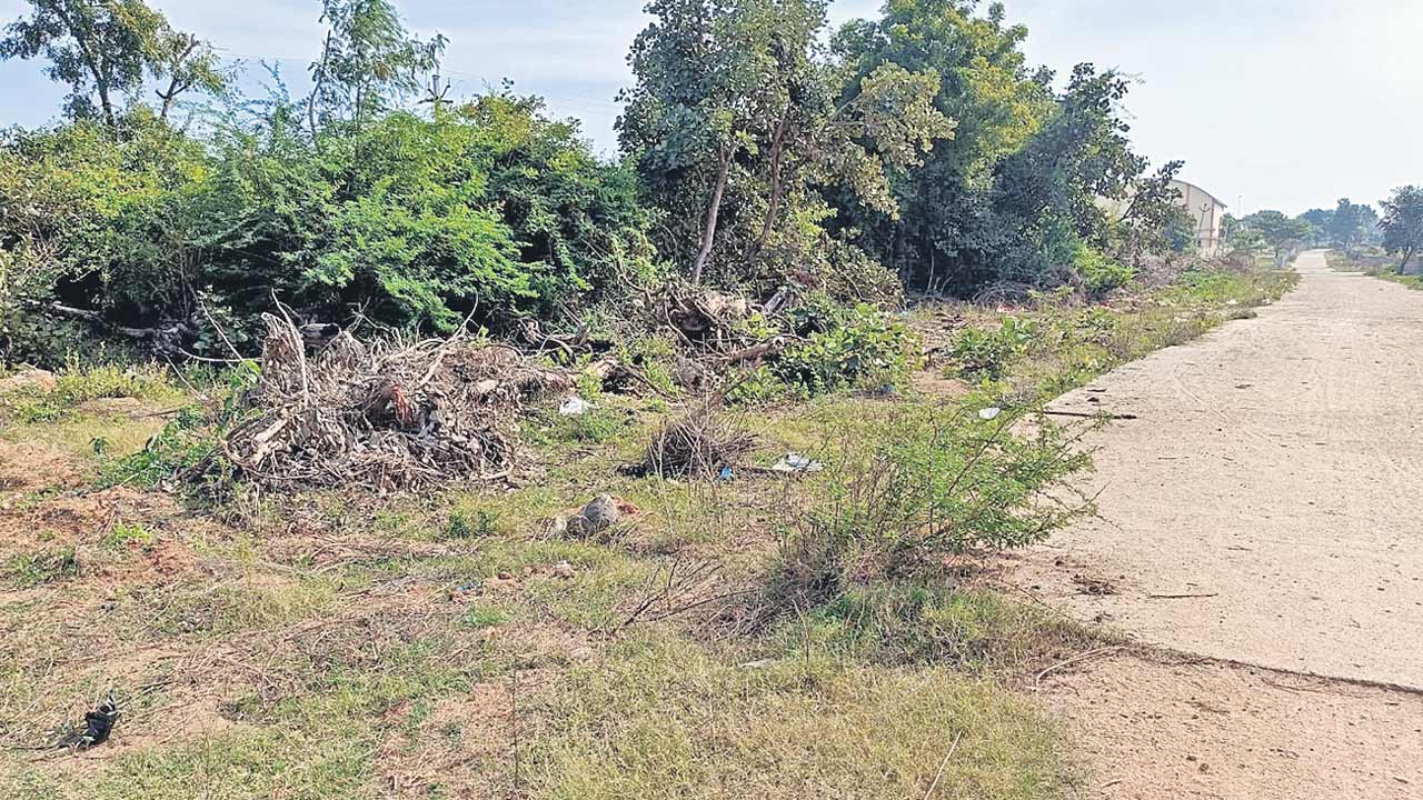 Medak1
