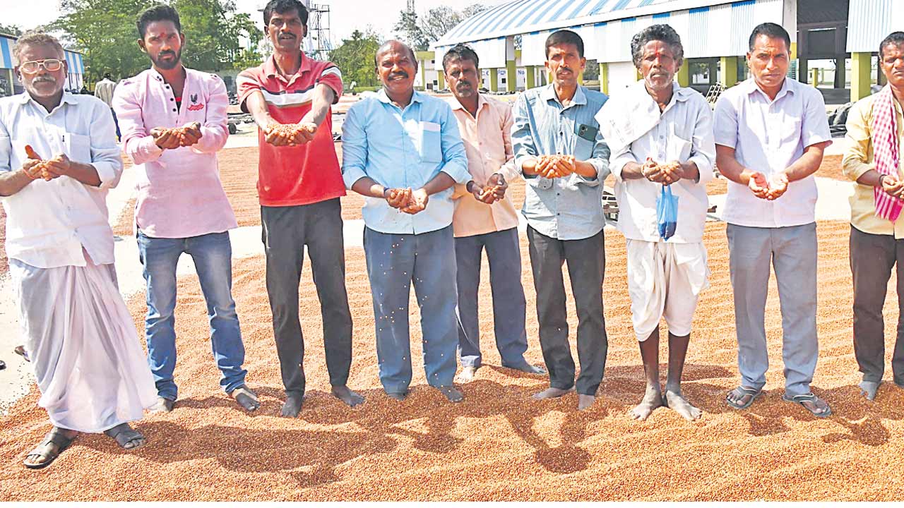 కంది రైతు.. రంది!