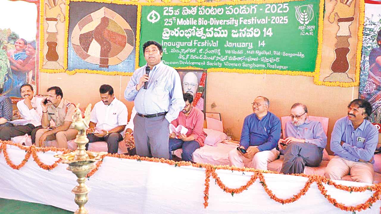 Medak6