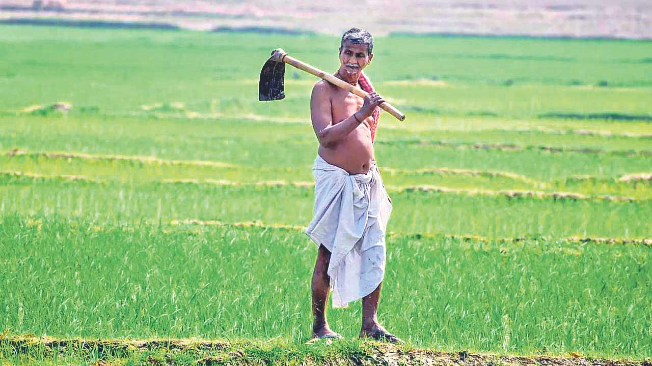 రైతు భరోసా బాకీ 3,000 కోట్లు