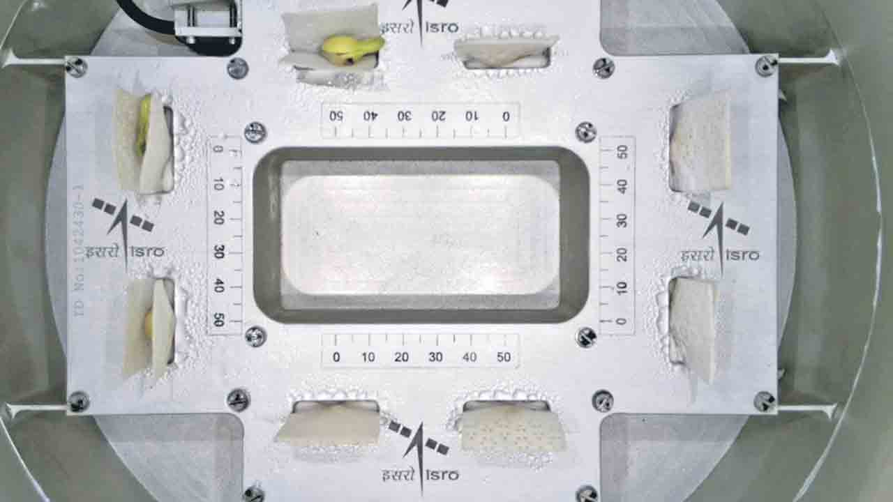 ISRO | రోదసిలో మొలకెత్తిన బొబ్బర.. ఇస్రో అద్భుత విజయం