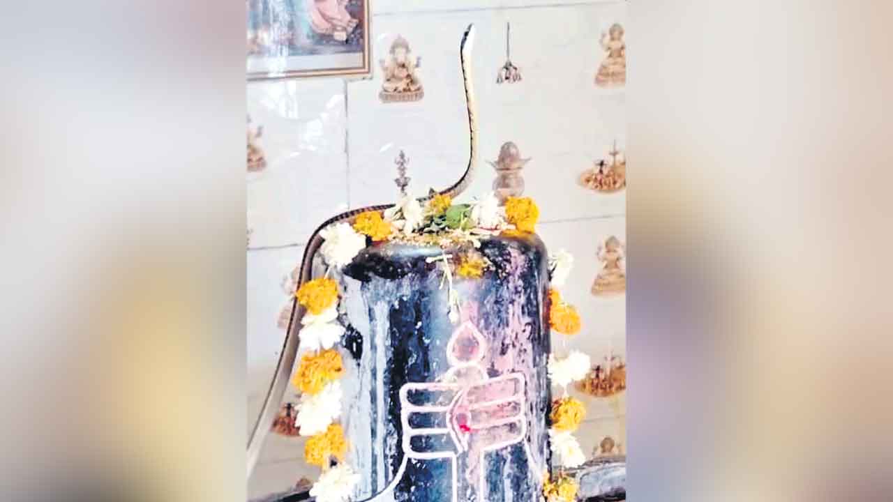 శివలింగంపై పాము.. వీడియో వైరల్‌