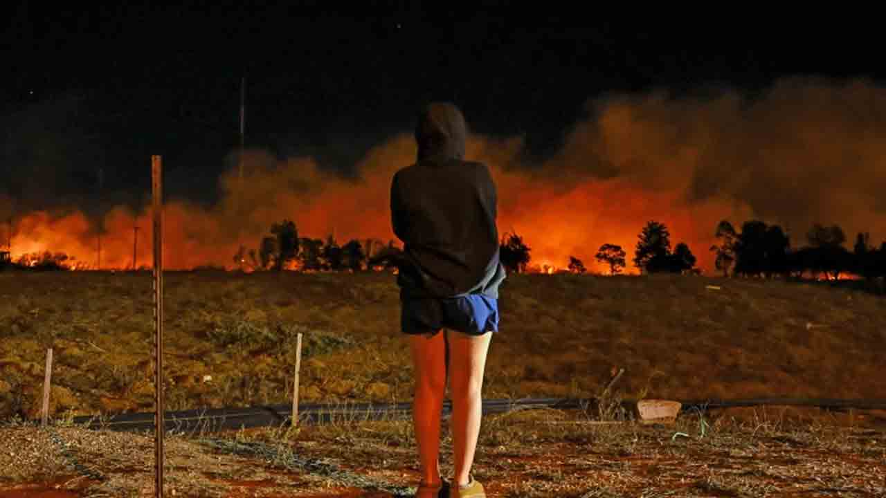 Wildfire 3