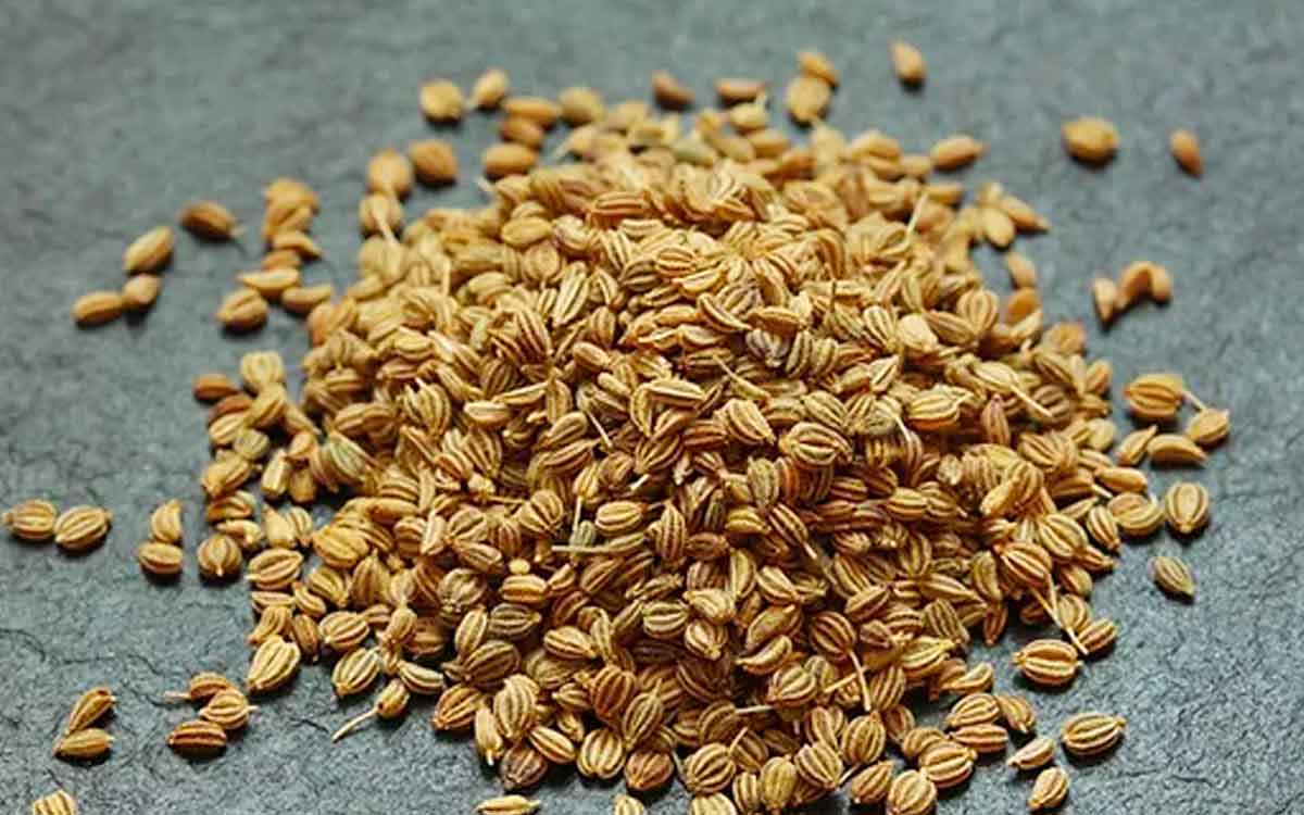 Ajwain Seeds | భోజ‌నం చేశాక రోజూ వాము తినండి.. ఎన్నో అద్భుతమైన ప్ర‌యోజ‌నాల‌ను పొంద‌వ‌చ్చు..!