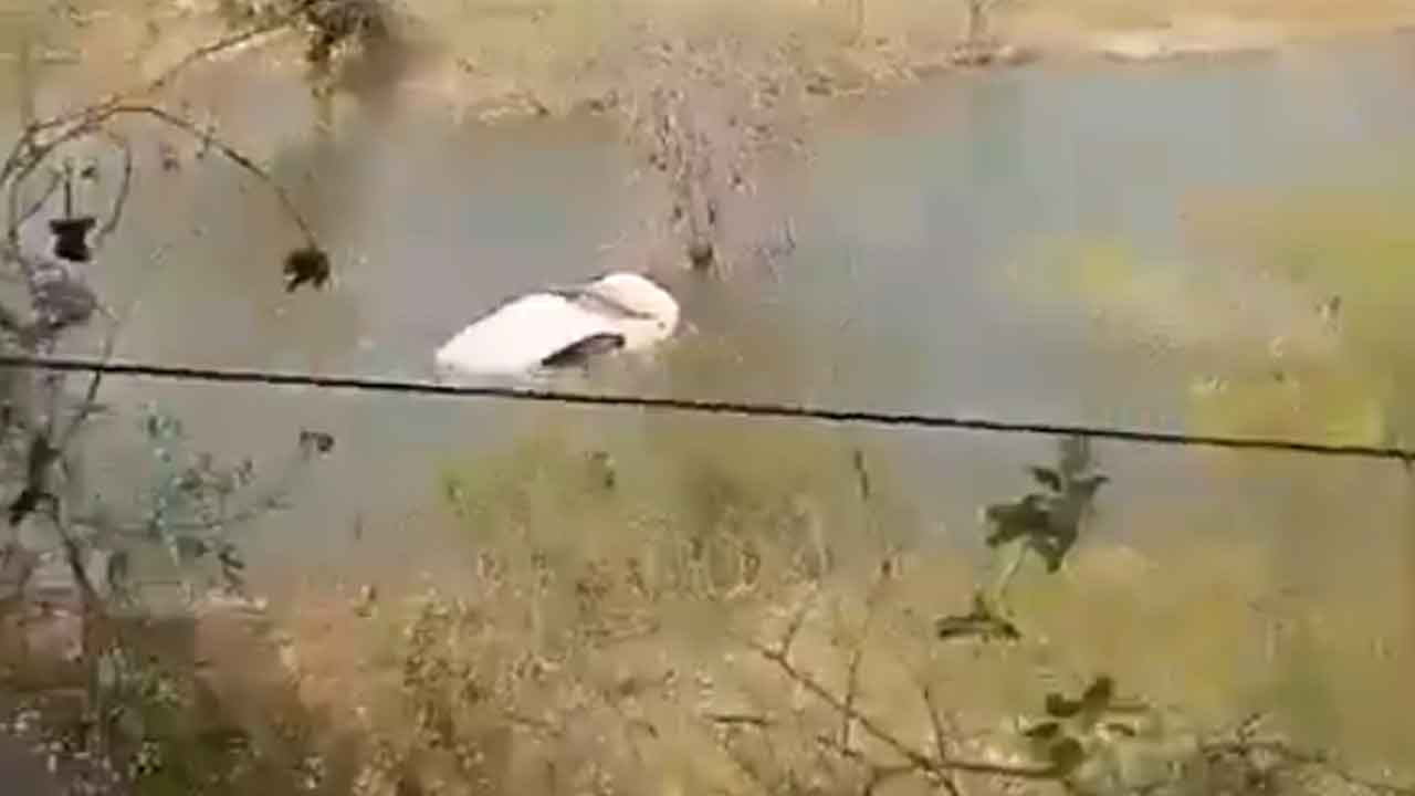 Rangareddy | చెరువులోకి వేగంగా దూసుకెళ్లిన కారు.. ప్రాణాలతో బయటపడ్డ వ్యక్తి : వీడియో