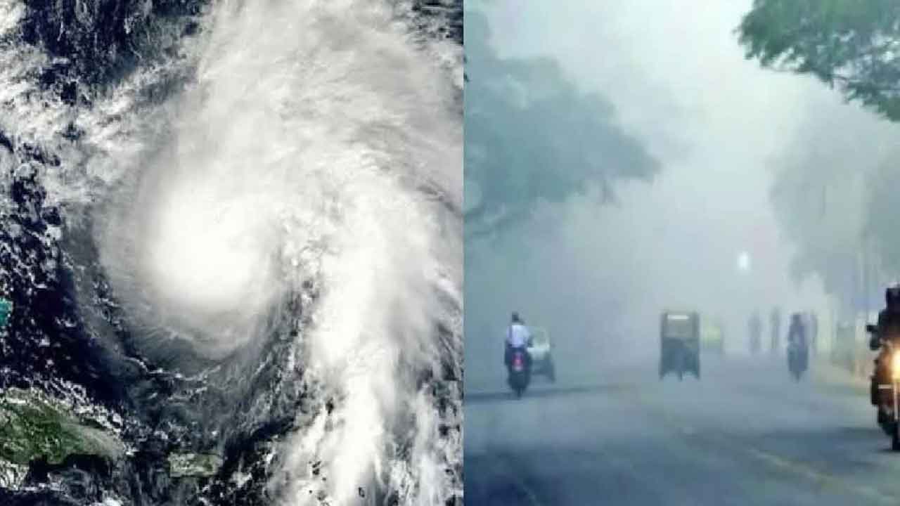 Weather Update | మరో వారం.. ఉదయం మంచు, మధ్యాహ్నం ఎండలు
