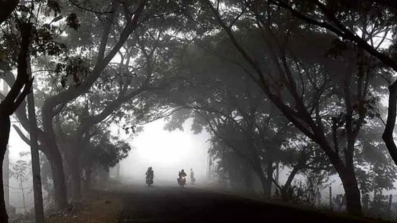 Cold Wave | హైద‌రాబాద్‌లో పెరిగిన చ‌లి గాలుల తీవ్ర‌త‌.. శివార్ల‌లో ద‌ట్ట‌మైన పొగ‌మంచు