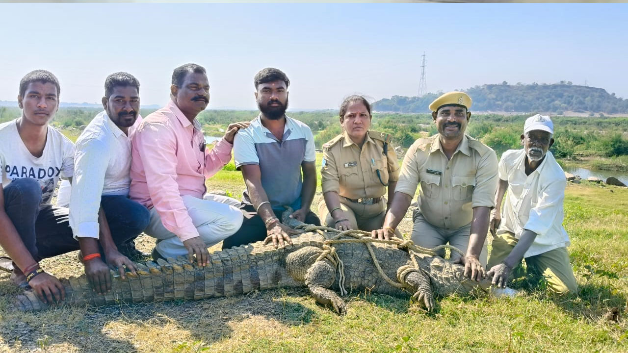 Wanaparthy | అయ్యవారిపల్లెలో భారీ మొసలి ప్రత్యక్షం