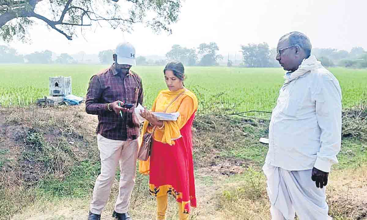 రైతు భరోసా దక్కేది ఎందరికి?