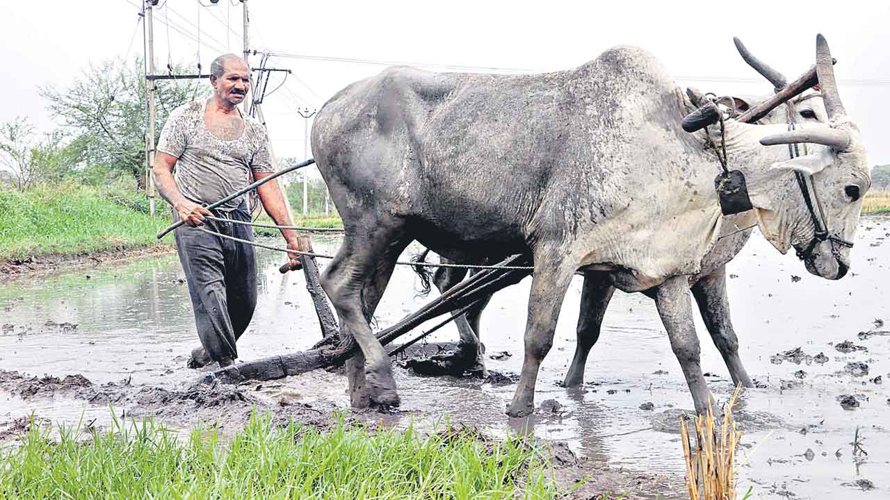 ఒక్క ఊరికేనా.. రైతు భరోసాపై భగ్గుమంటున్న జిల్లా రైతాంగం