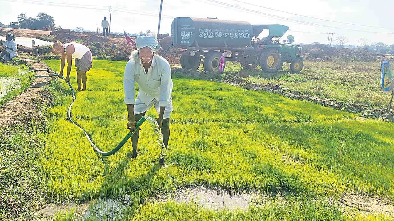 Farmers