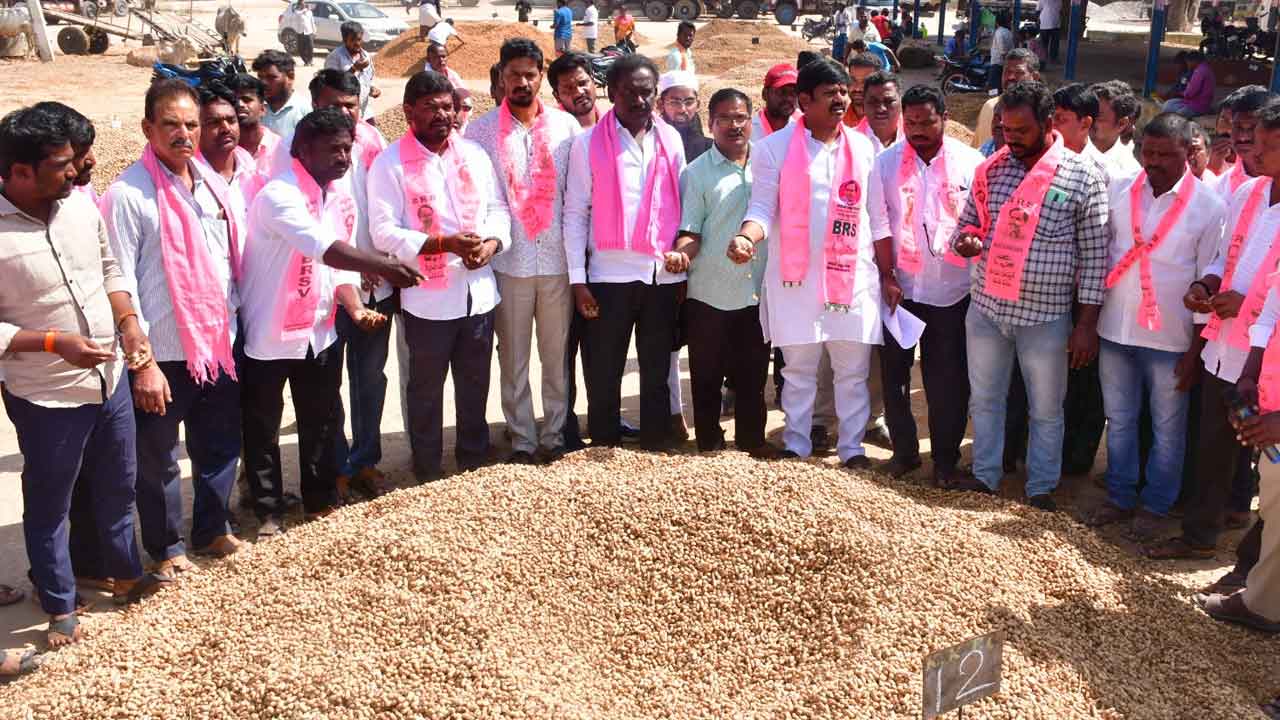 వేరుశనగకు మద్దతు ధర కల్పించాలి