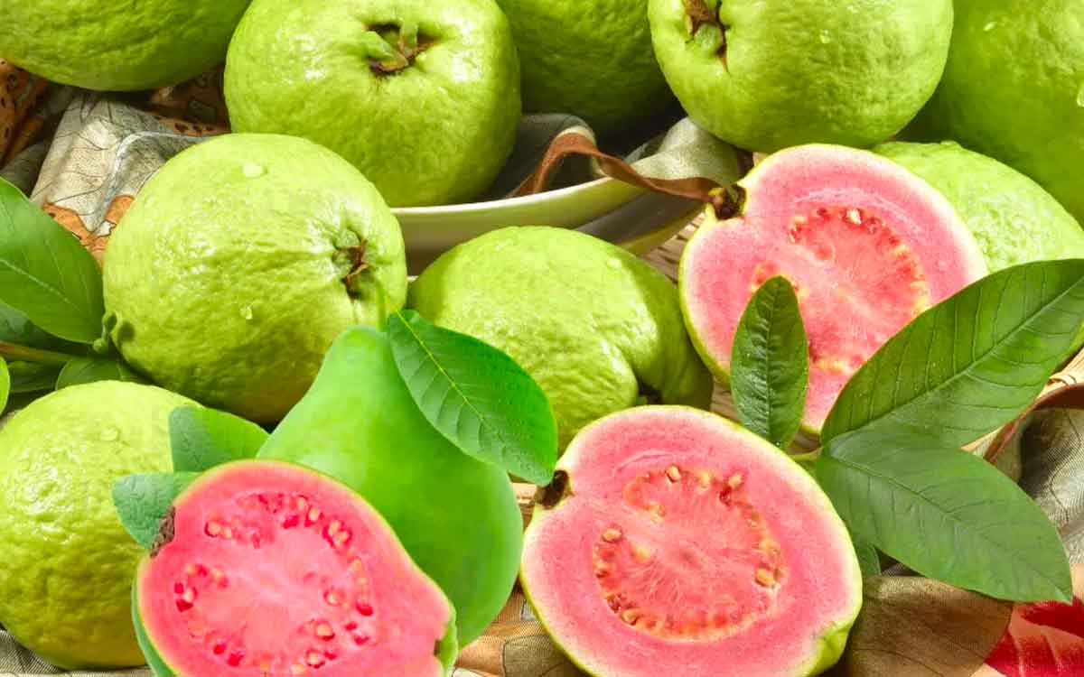 Guava | రోజూ ఒక జామ పండును తింటే ఇన్ని లాభాలు క‌లుగుతాయా..?