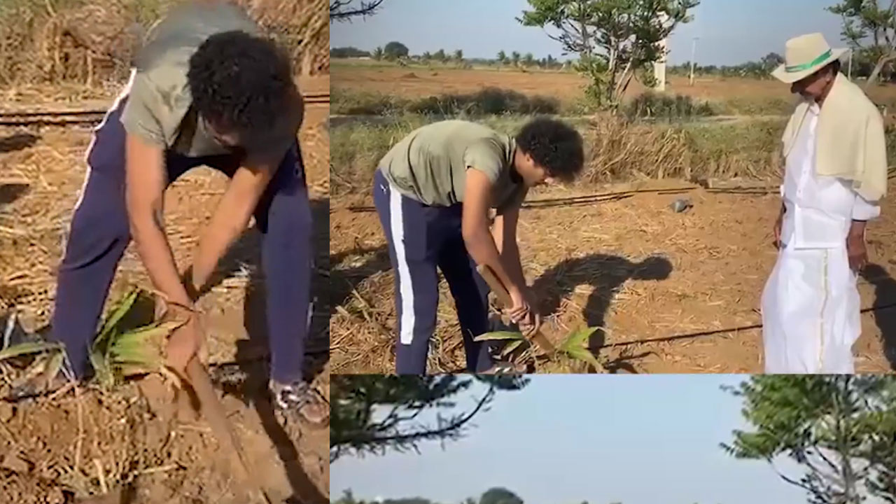 Himanshu Rao | తాత‌ అడుగుజాడ‌ల్లో హిమాన్షు రావు.. వ్య‌వ‌సాయ క్షేత్రంలో ఏం చేశాడో తెలుసా..?