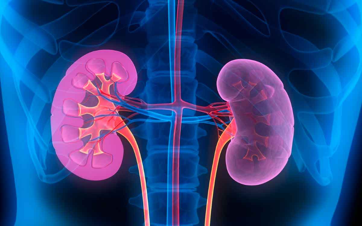Children Dies Of Kidney Failure | కిడ్నీ వైఫల్యంతో ఆరుగురు పిల్లలు మృతి.. రెండు   దగ్గు సిరప్‌లపై నిషేధం