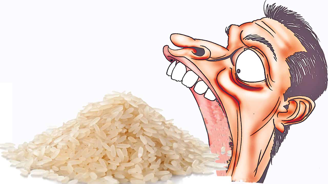 Rice