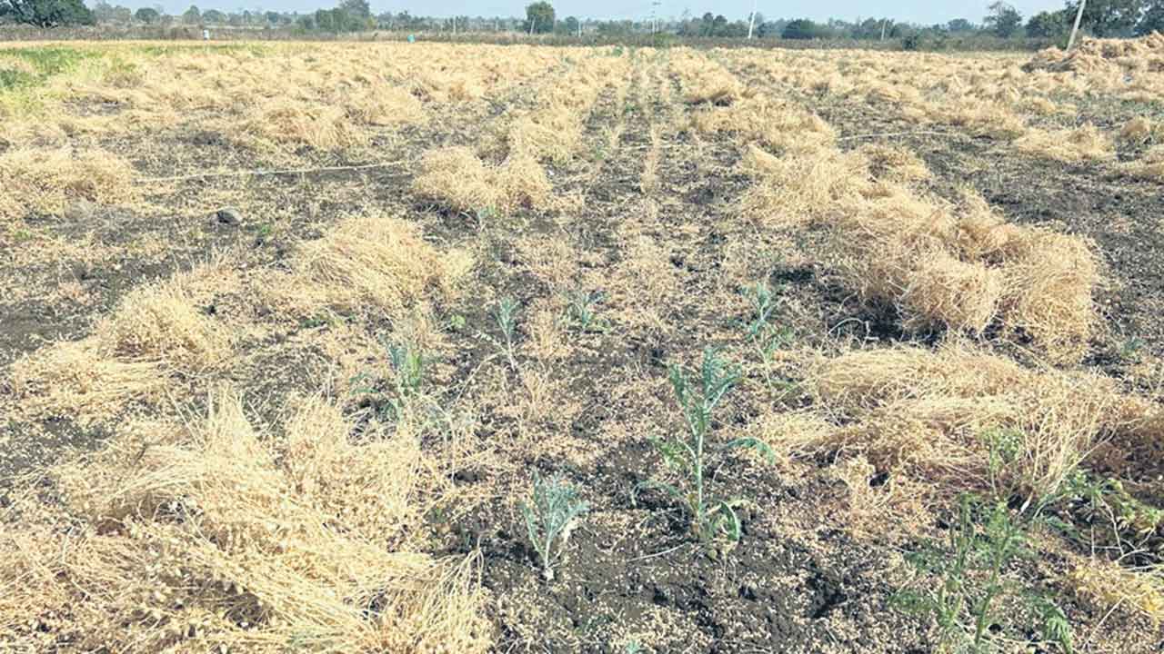 ప్రారంభంకాని క్రాప్‌ బుకింగ్‌