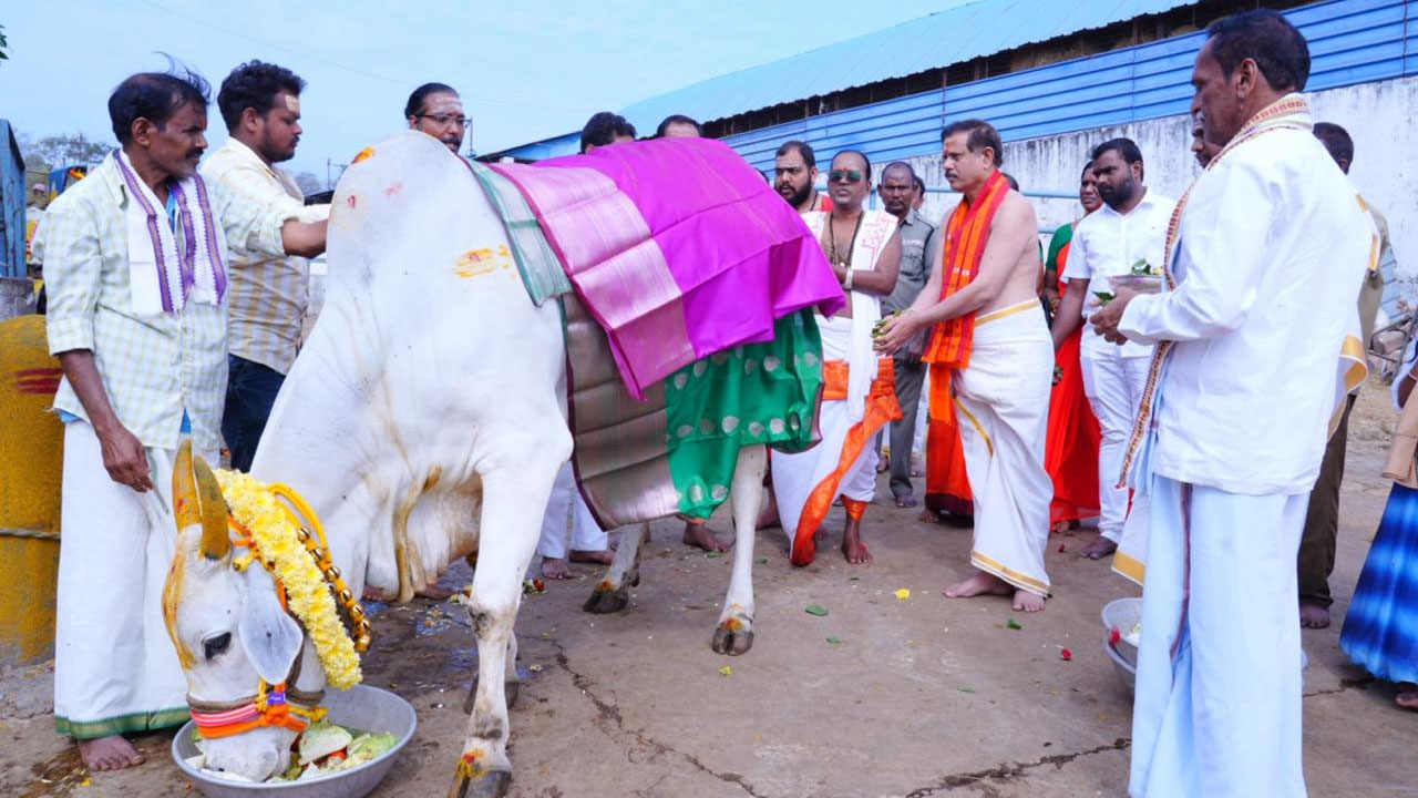Srisailam | శ్రీశైలంలో వైభవంగా సంక్రాంతి సంబరాలు
