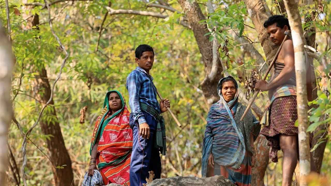 Telangana | గిరిజన సహకార సంస్థకు సహకారం కరువు.. కార్పొరేషన్ను పట్టించుకోని కాంగ్రెస్ ప్రభుత్వం