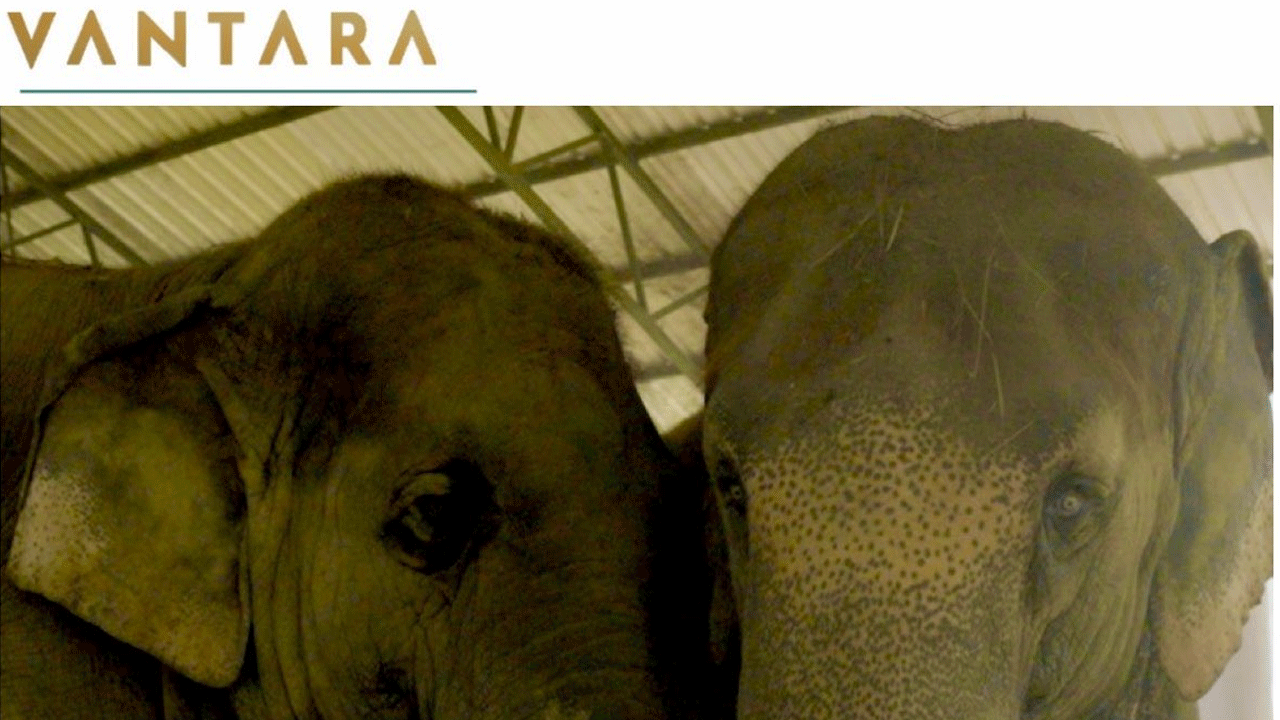 Anant Ambani: ఇస్కాన్ ఏనుగుల‌కు వంతారా చేయూత‌