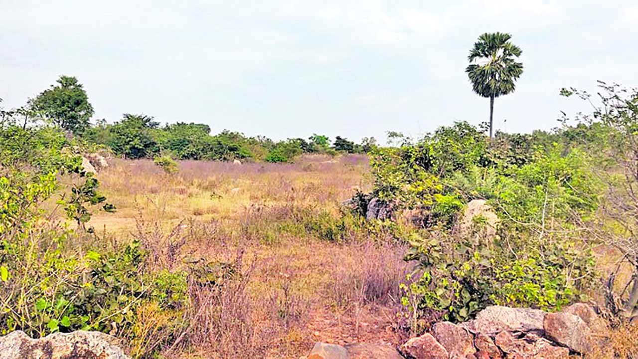 ప్రతిపాదనల్లోనే మరిపెడ మార్కెట్‌