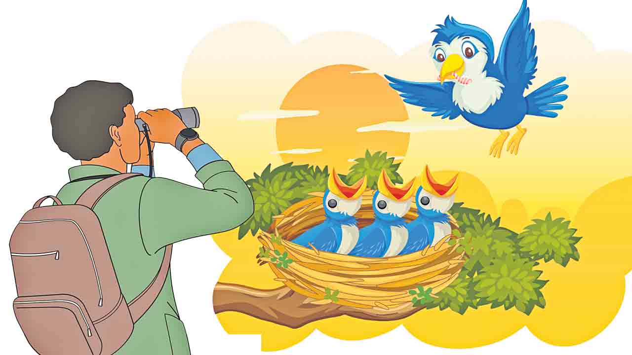 కిచకిచలతో.. కిలకిలలు