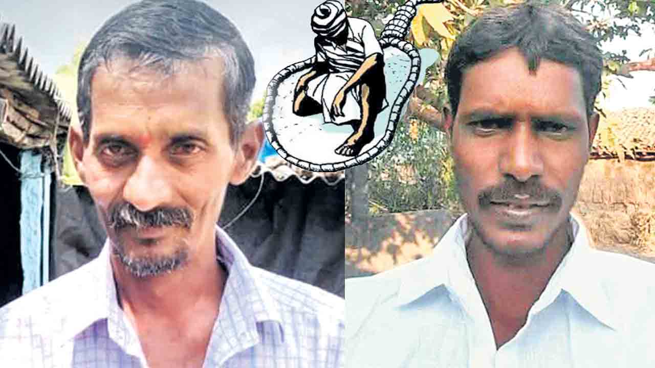 ఎండిన చేను.. గుండె పగిలిన రైతు