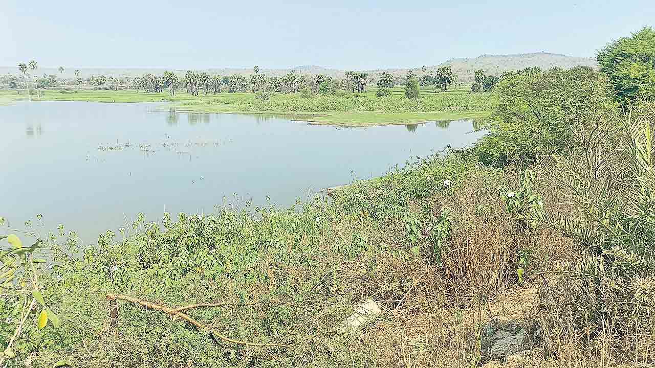 మల్కపేట కాల్వ పారేదెప్పుడో?