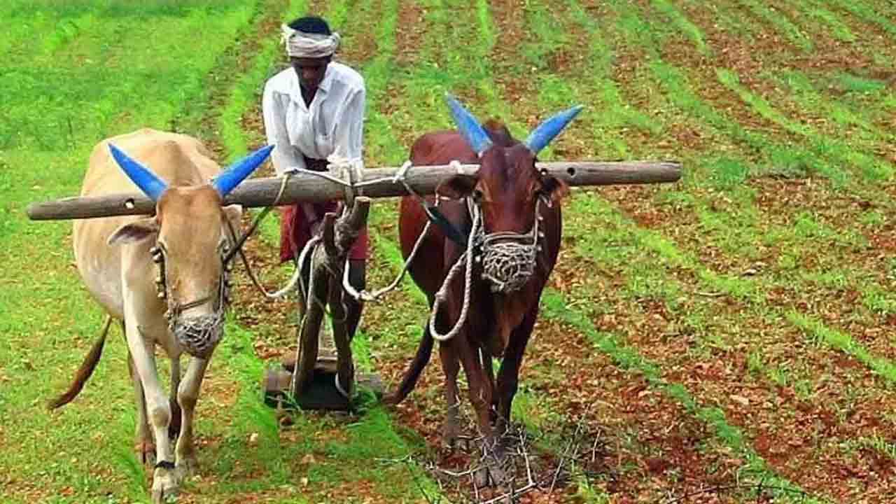 Rythu Bharosa | 3.94 లక్షల మందికి రైతు భరోసాలో కోత.. భారీగా తగ్గిన రైతుల సంఖ్య